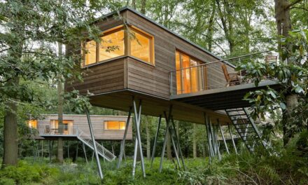 Από το Παιδικό Όνειρο στην Απόλυτη Zen Εμπειρία: Τα Δενδρόσπιτα Κατακτούν και την Ελλάδα!